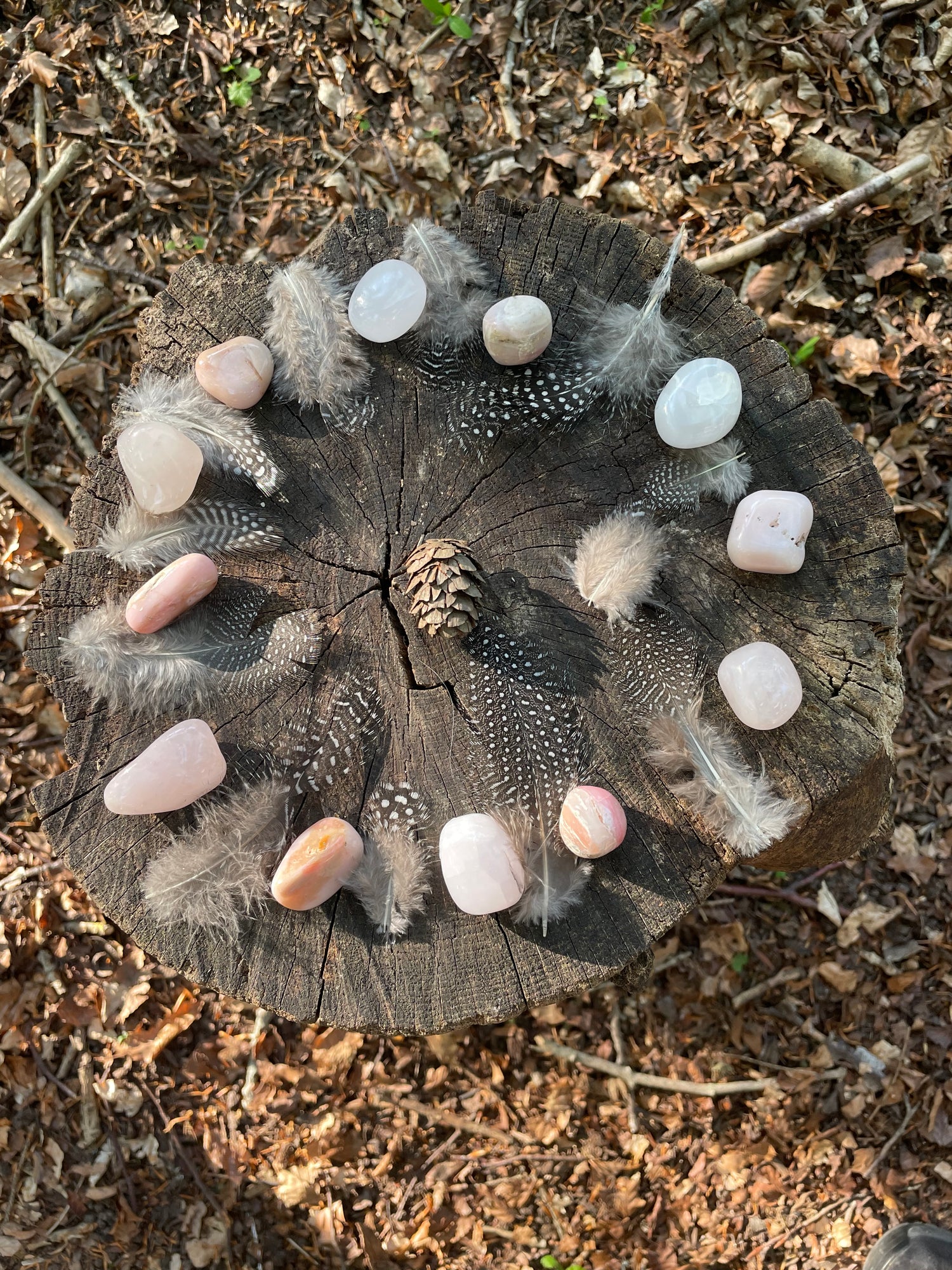 The top view of  tree stump in the setting sun bearing a circular arrangement of crystals shining in the light and spotty feathers strewn here and there
