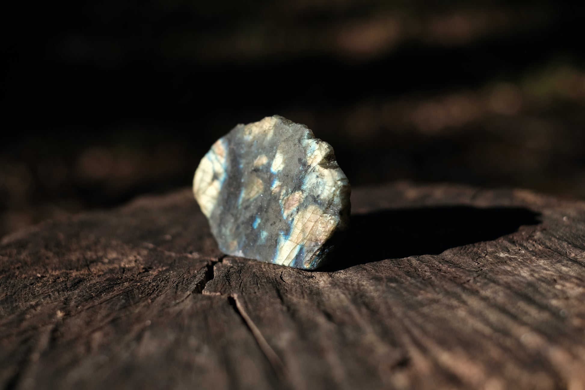 Crystal shard with iridescent texture and colour in the woods.