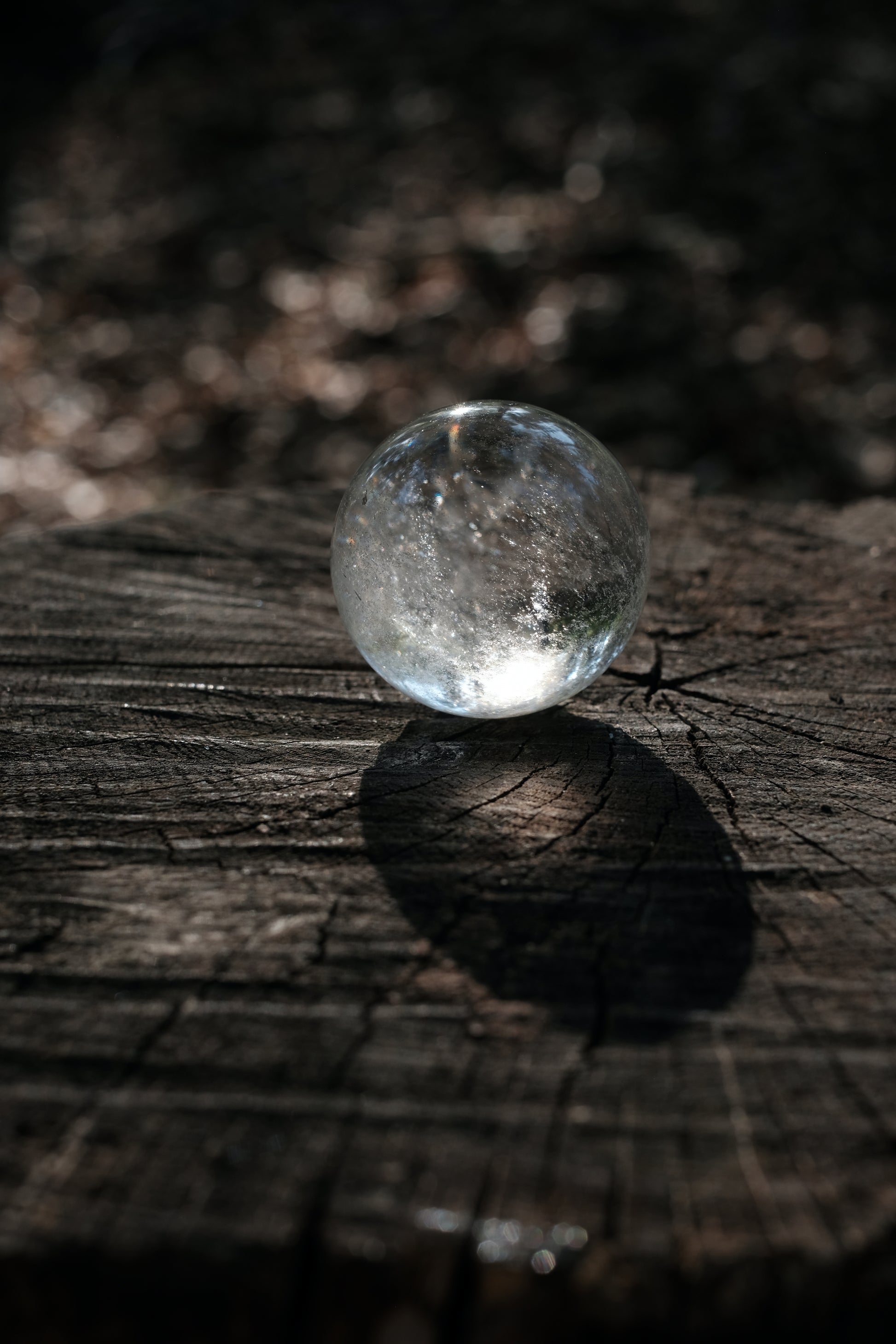 Clear quartz ball shown with sunbeams on a tree stump in the woods.