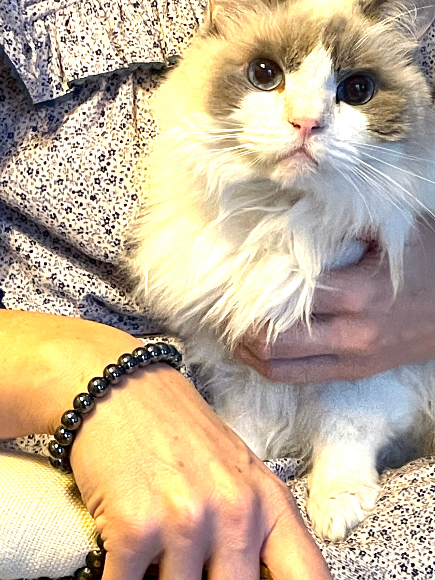 Hematite polished crystal bracelet modelled with a cat