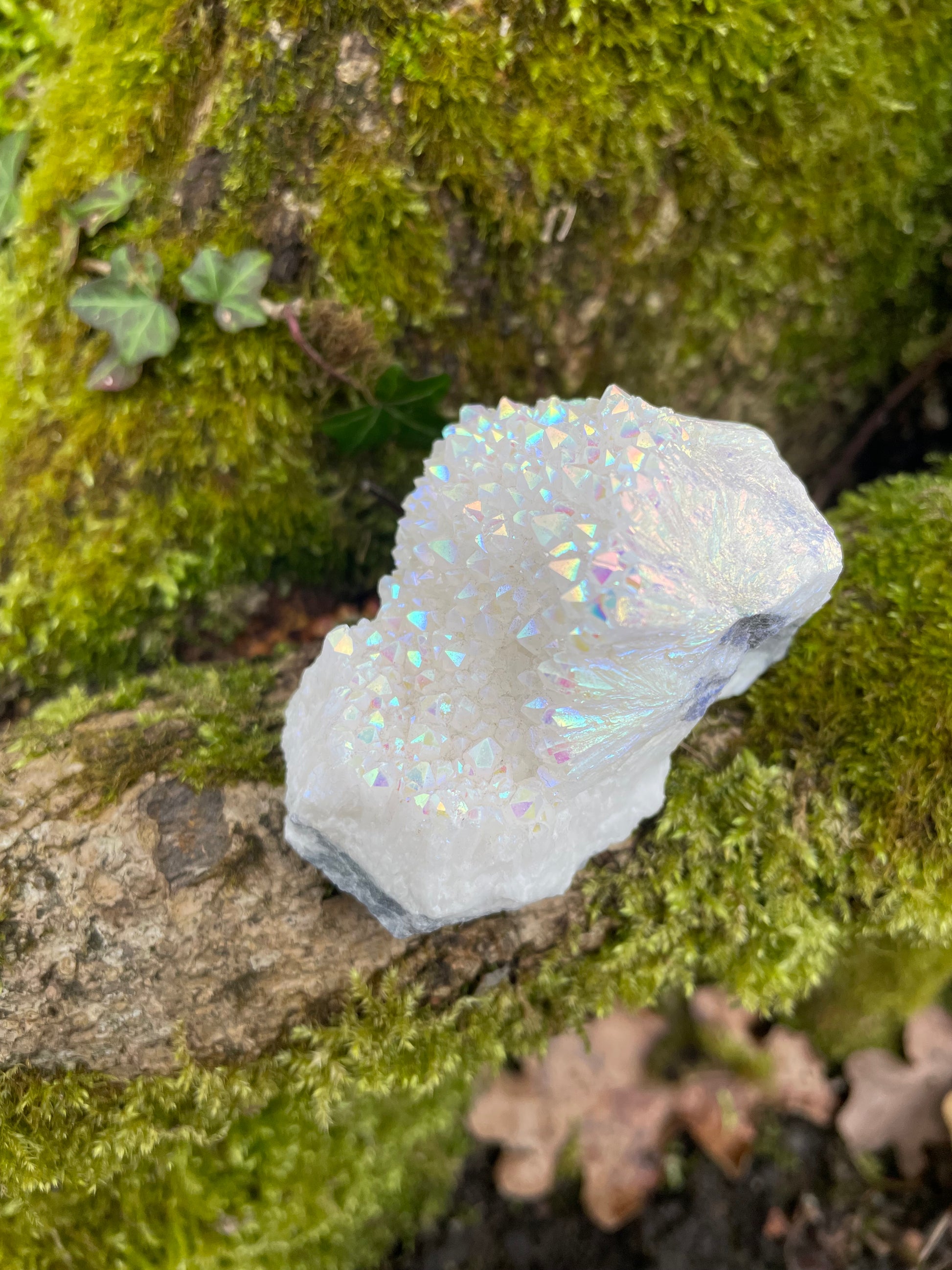 Angel aura quartz cluster with rainbow effect photographed on moss