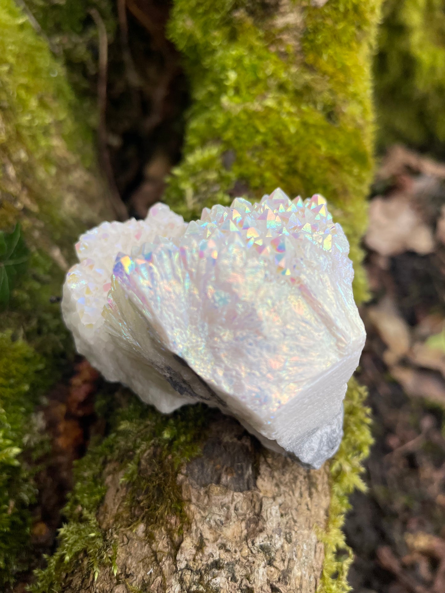 Angel aura quartz cluster with rainbow effect photographed on moss