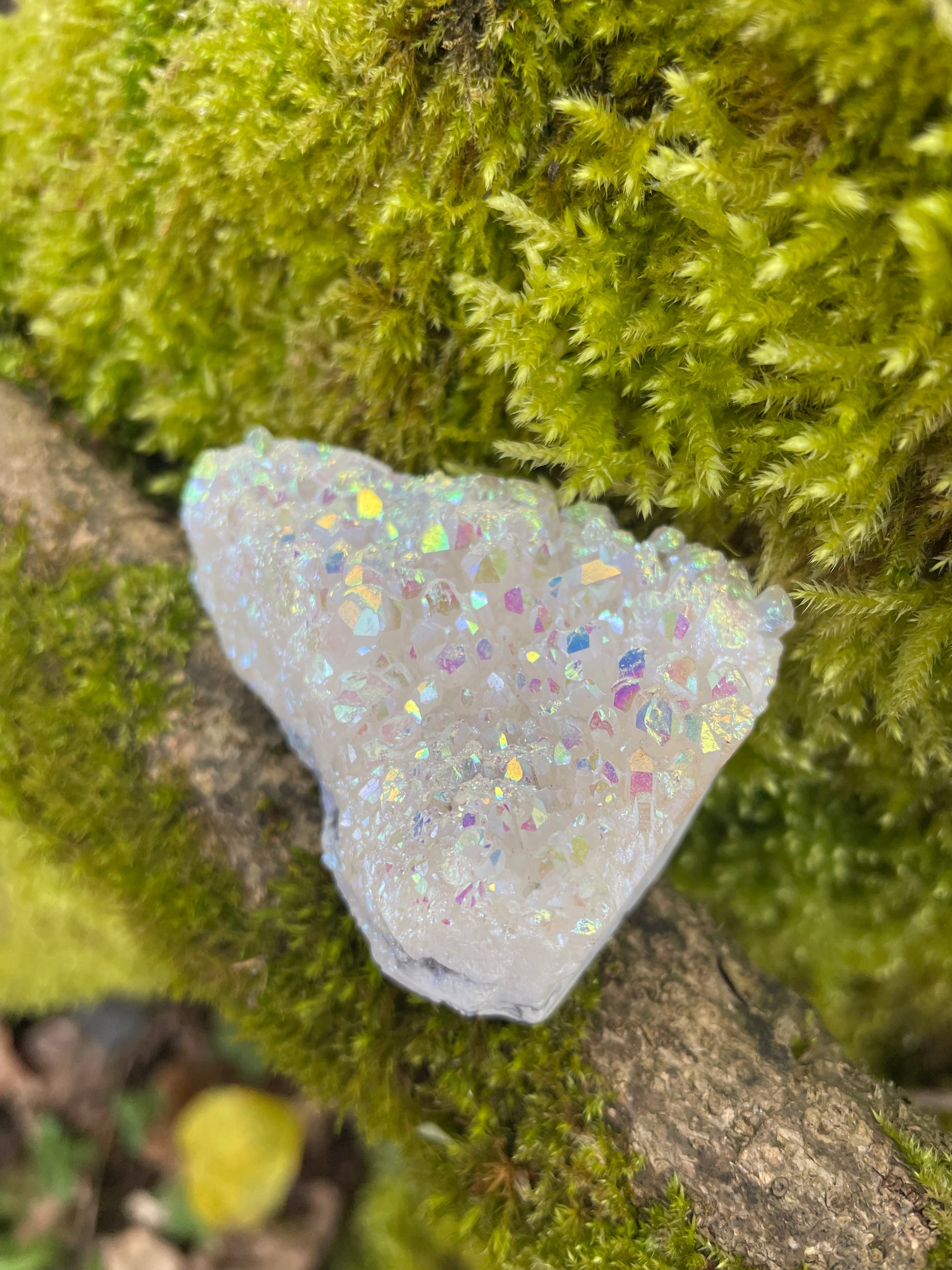 Angel aura quartz cluster with rainbow effect photographed on moss