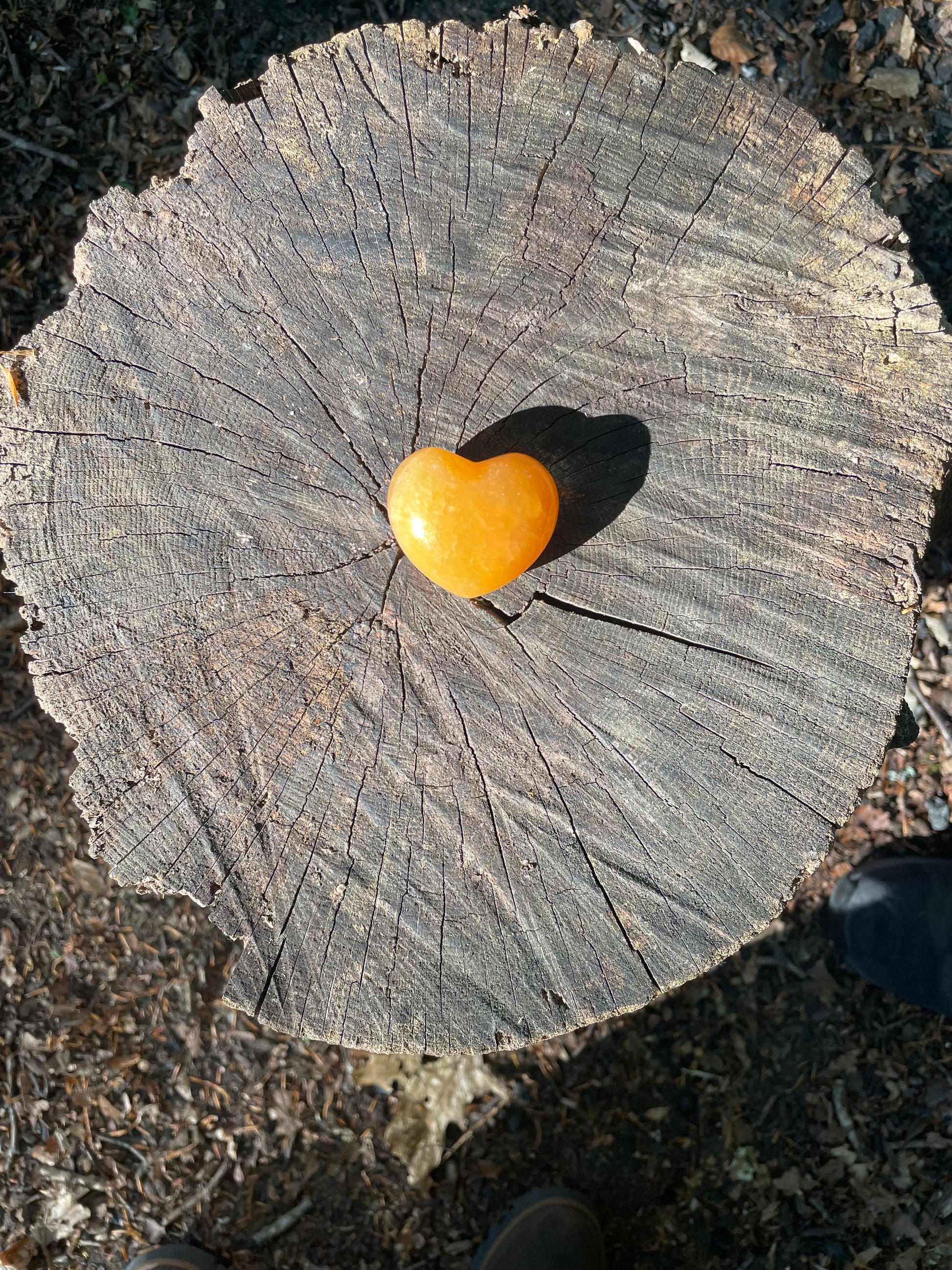 Bright orange smooth carved heart crystal sitting on a tree stump in the woods.