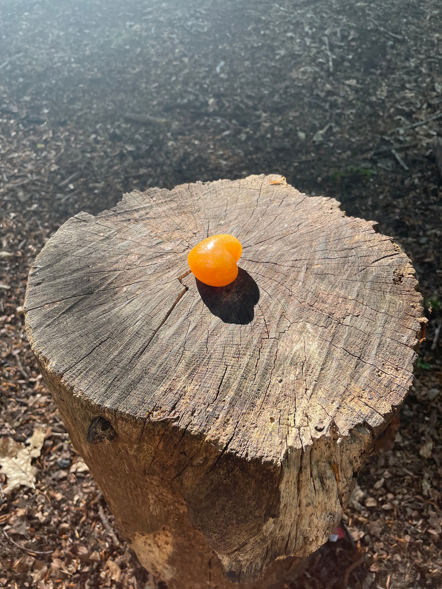 Bright orange smooth carved heart crystal sitting on a tree stump in the woods.