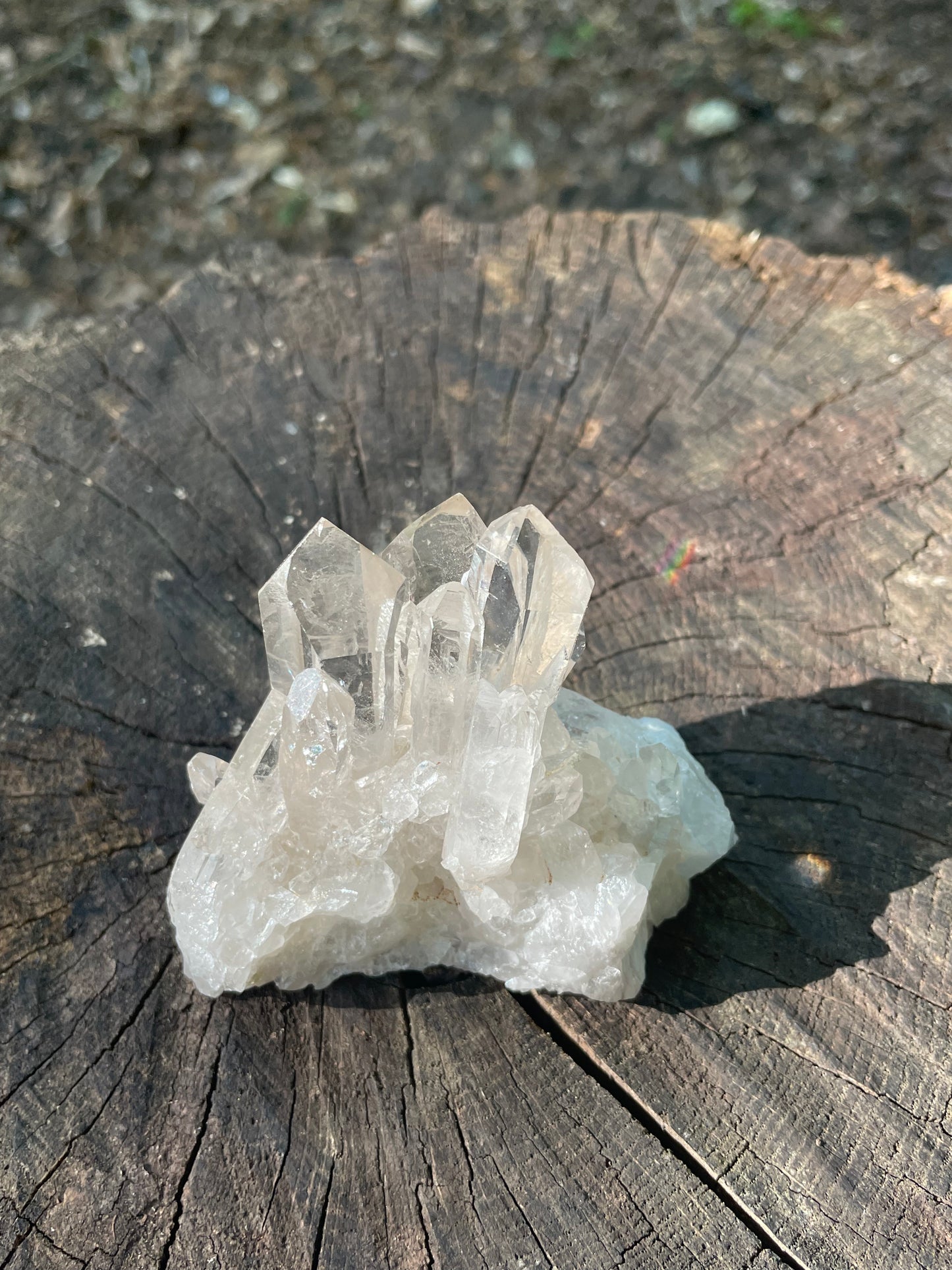 Beautiful glasslike clear crystal with sculpted shapes catching rays and rainbows. Pictured on wood in the forest.