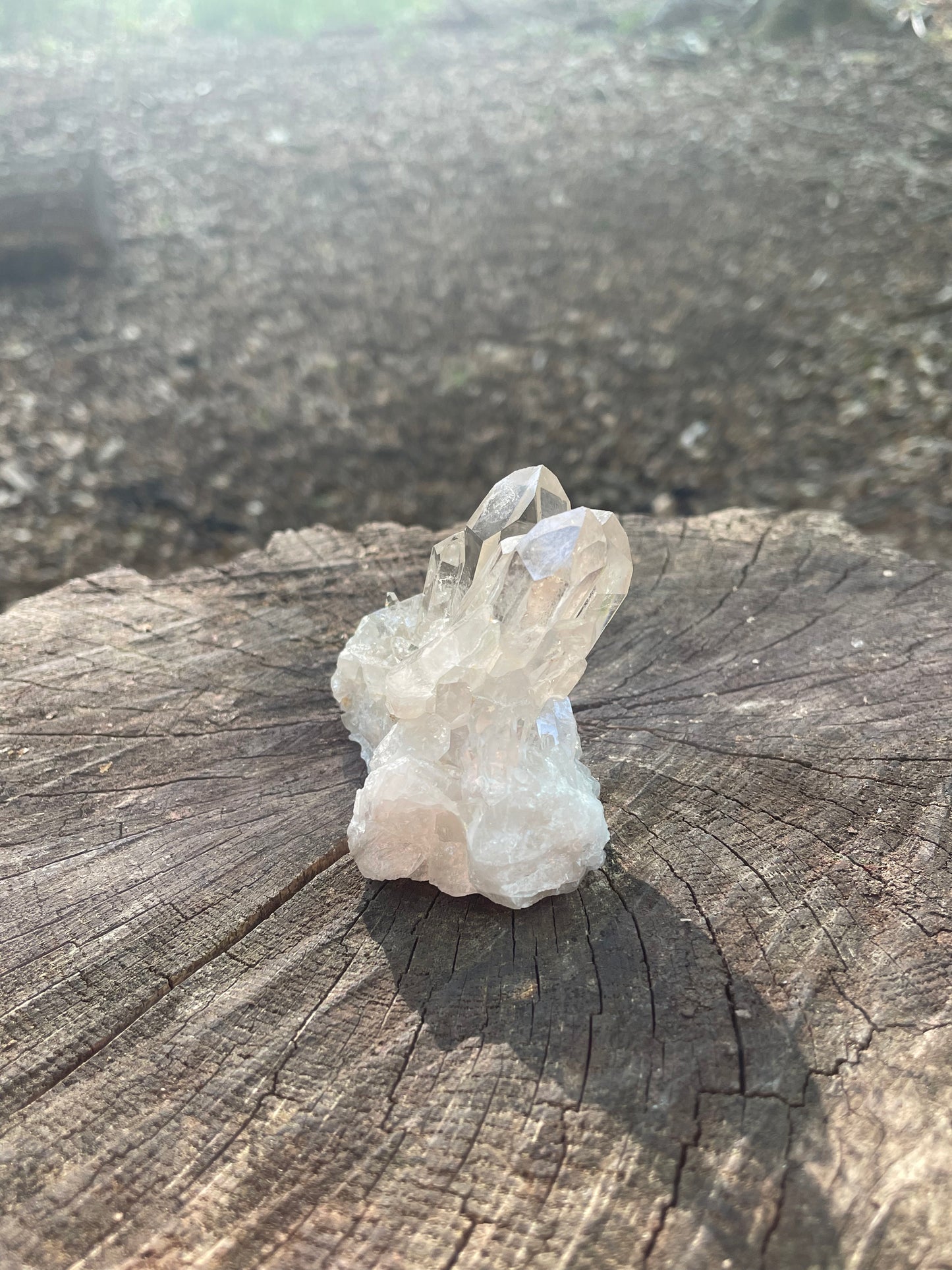 Beautiful glasslike clear crystal with sculpted shapes catching rays and rainbows. Pictured on wood in the forest.