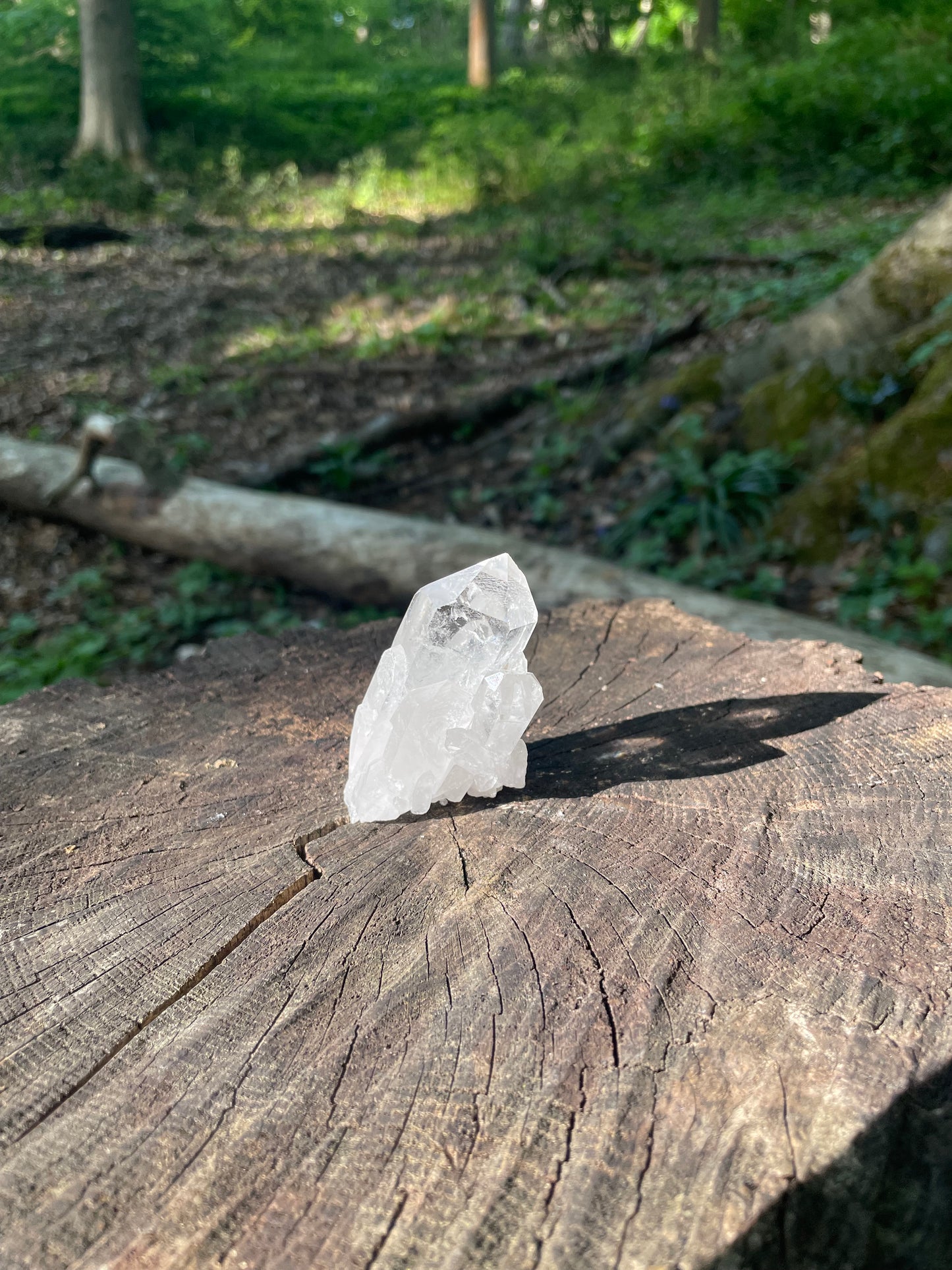 Transparent glasslike small rough crystal sitting on wood in the sun beams.