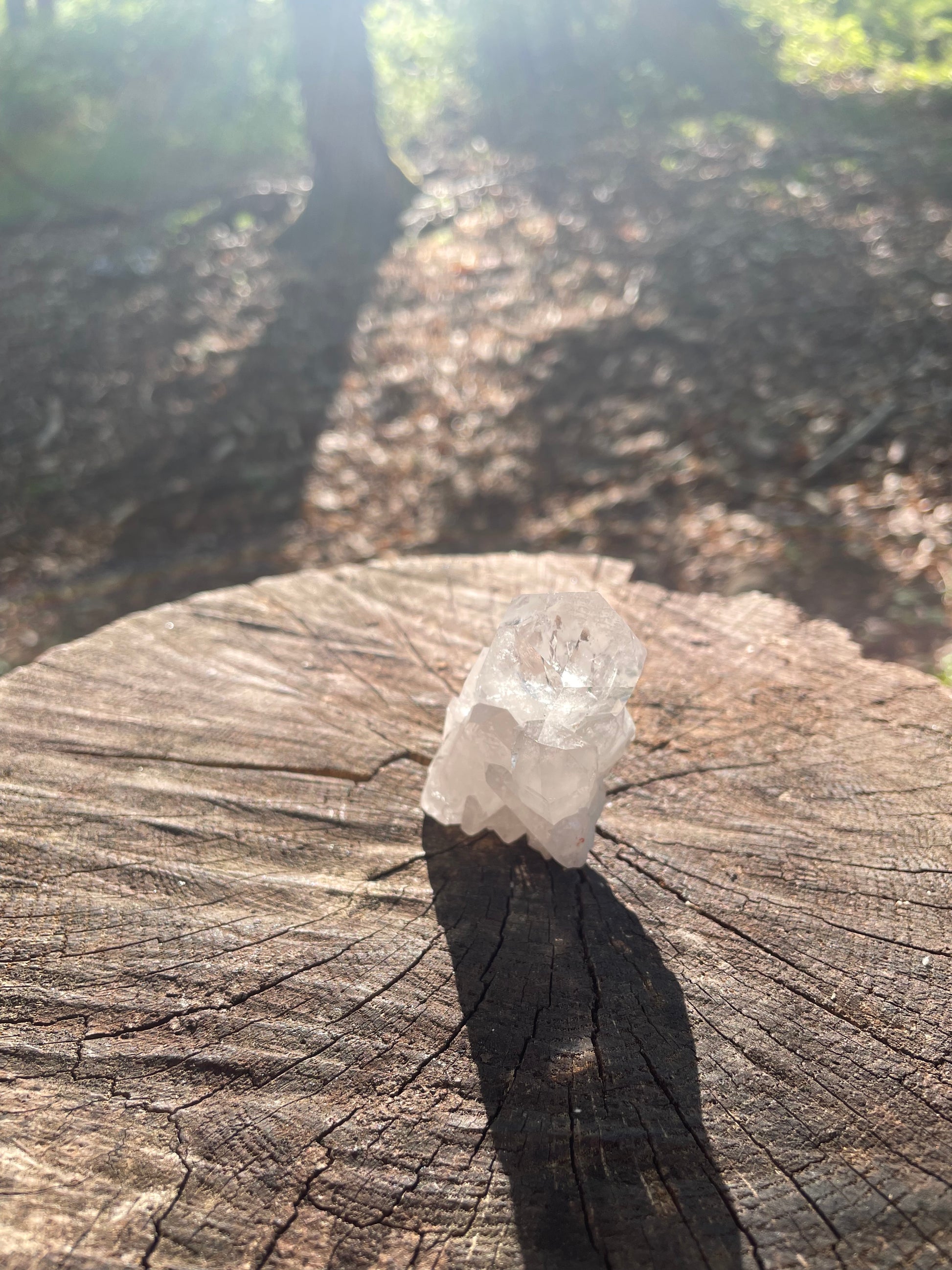 Transparent glasslike small rough crystal sitting on wood in the sun beams.