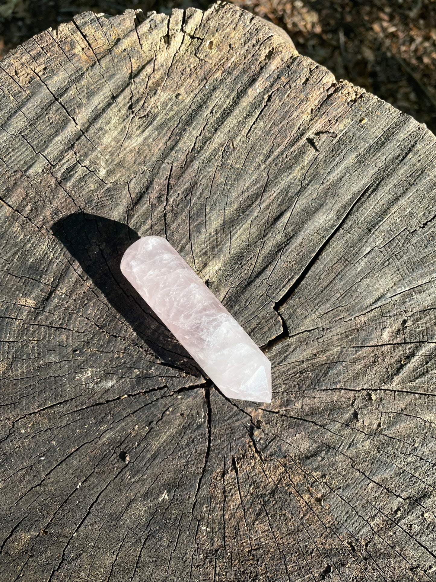 Soft pink small rose quartz crystal healing wand sitting on a tree stump in the woods.