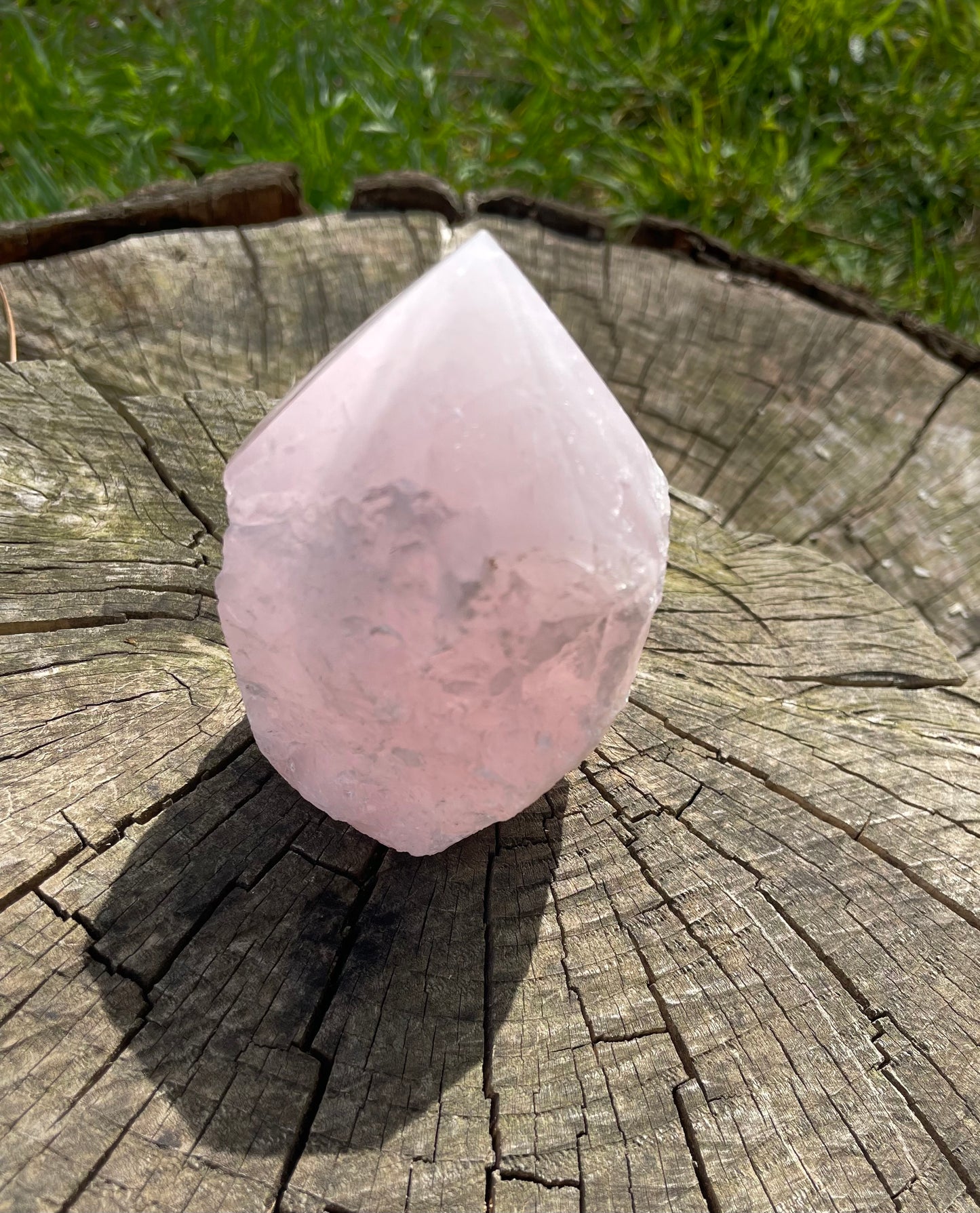 Soft pink rose quartz six sided pointed generator sitting on a tree stump in the woods.