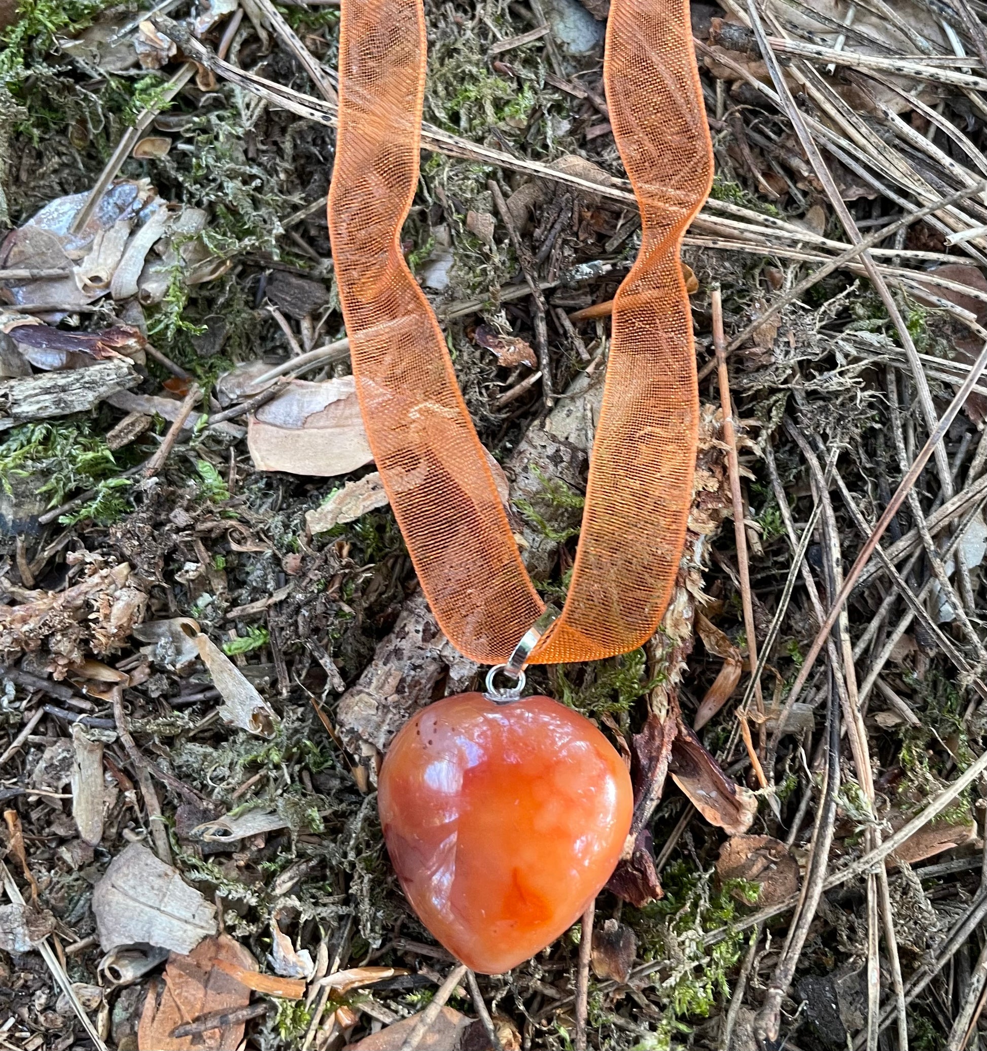 Orange heart carnelian pendant shiny and smooth in texture.Its threaded on an orange transparent ribbon.Its photographed in rustic nature.