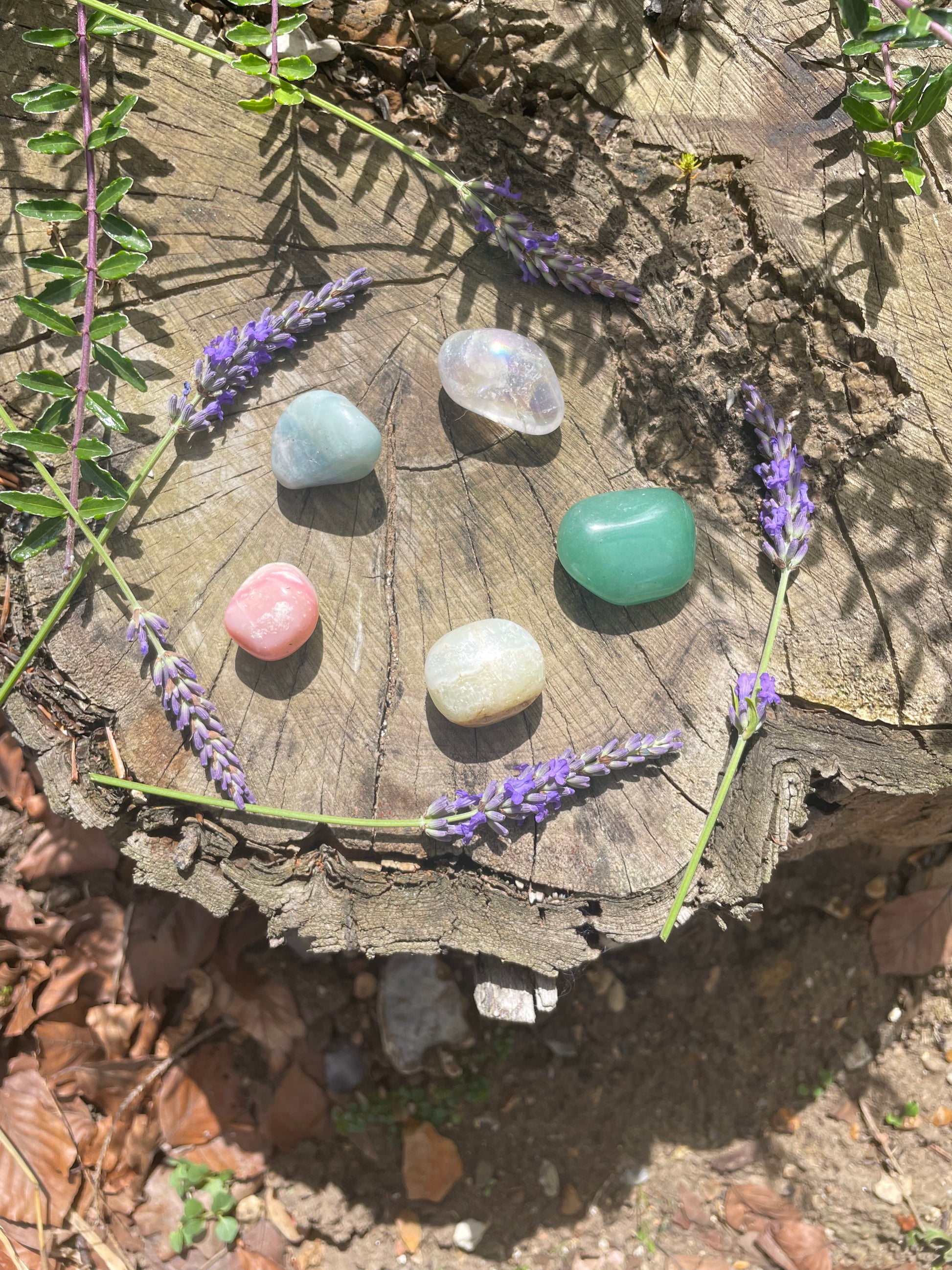 A set of five small smooth crystals sitting on a tree stump surrounded by lavender. The colours are different tones of green and pink.