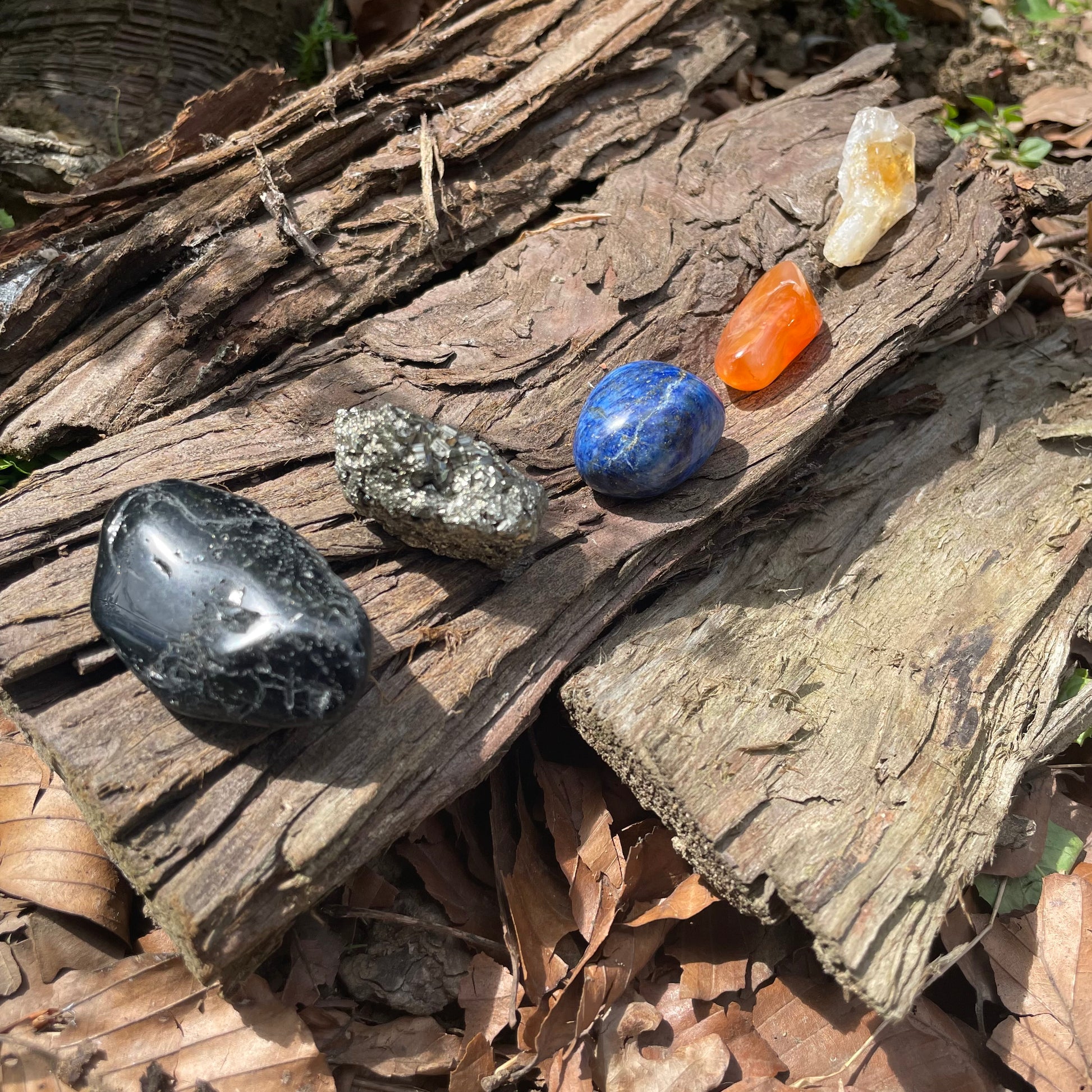 A row of 5 crystals in a set lying in the sun on a rough brown log in a forest. Some smooth, some rough textured. In order the crystals are coloured black, gold, blue, orange and yellow.