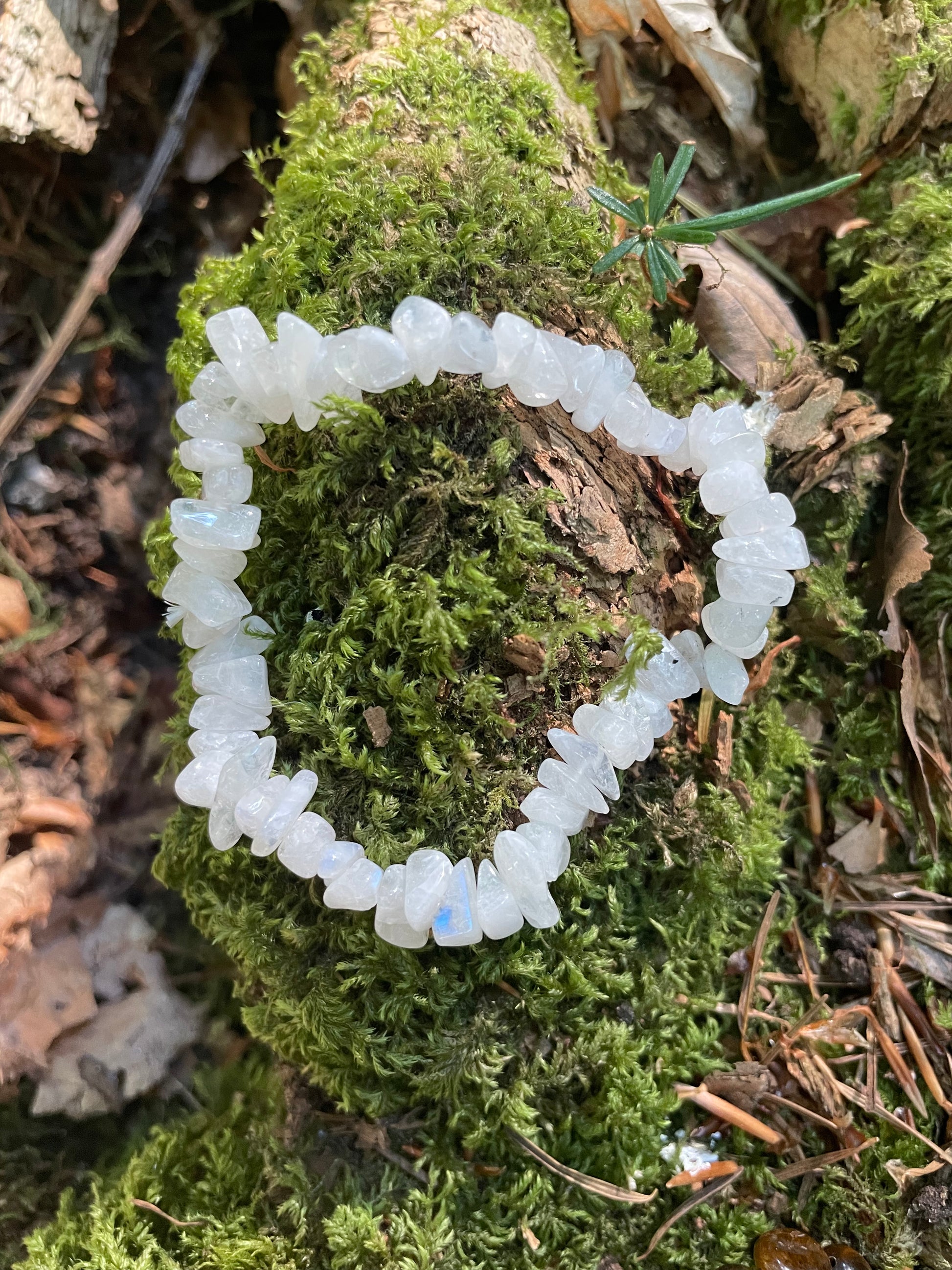 Pretty delicate white crystal bracelet made up of tiny chips on elastic sitting on moss.