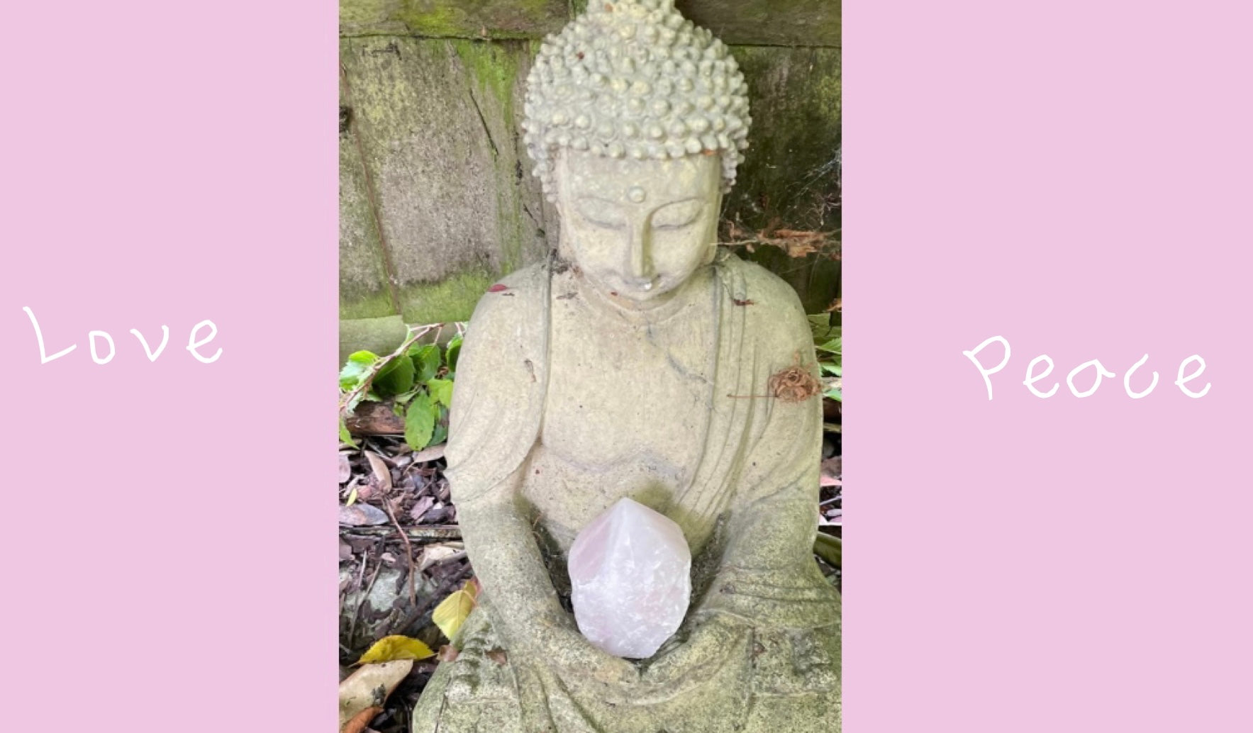 Soft pink rose quartz six sided pointed generator sitting on a stone buddhist sculpture in a garden.